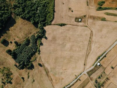 działka siedliskowa